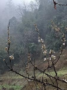 青春没有选择下一句