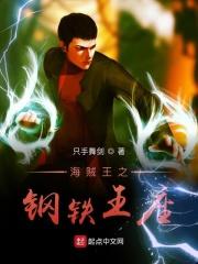 海贼之钢筋铁骨